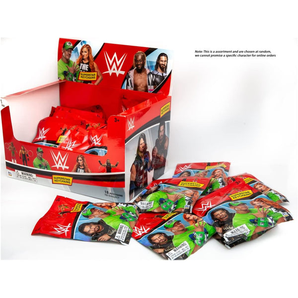 WWE 3D figural Wrestling Superstars Keychains Blind Bag, 24 pcs in CDU