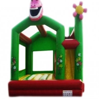 Barney Bouncer