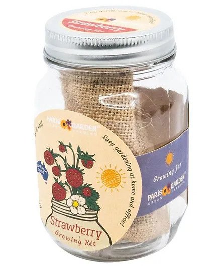 Paris Garden Mason Jar with Planter & Seeds Growing Kit - Strawberry