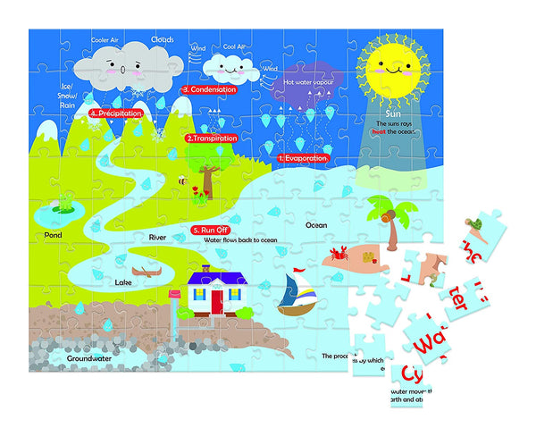 Water Cycle